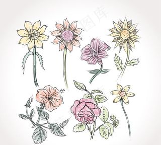 美丽的手绘花卉图片