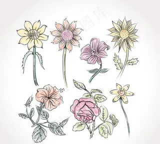 美丽的手绘花卉图片