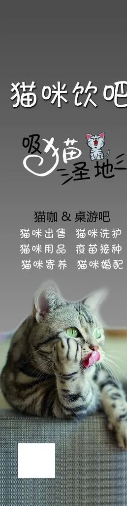 猫咪海报图片(2520X8898(DPI:100))psd模版下载
