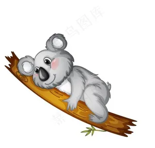 卡通考拉图片