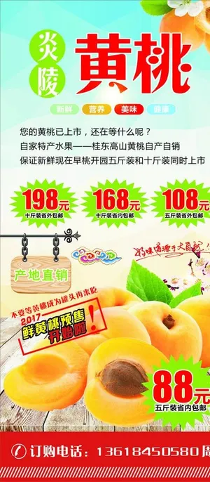 黄桃展架图片 黄桃展架图片