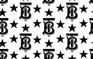 大牌字母巴宝莉图片