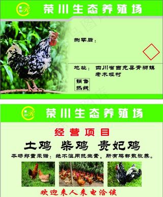 养鸡名片图片