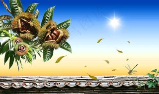 太阳下的板栗树图片