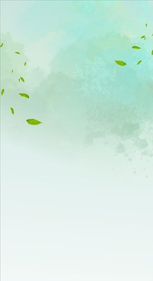 绿色节日展架背景图片