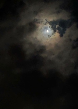 夜景图片