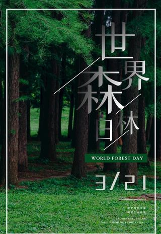 世界森林日图片