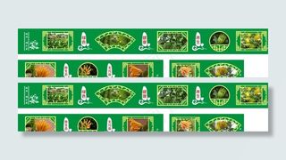 佛手果橱窗展示图片