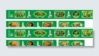 佛手果橱窗展示图片