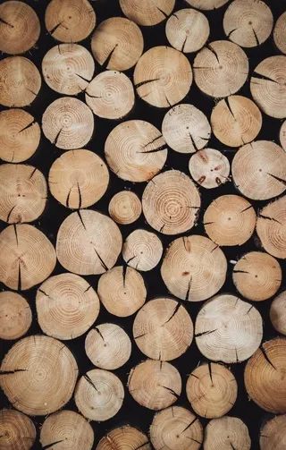 木材木头截面图片