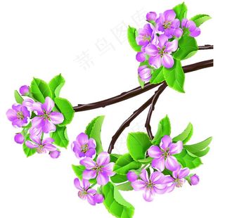 桃花春天PSD图片