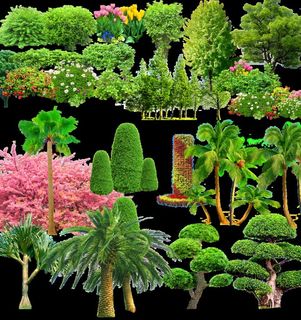 花草分层素材图片