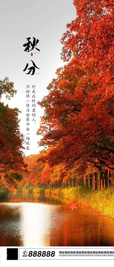 秋天 枫叶 秋分 节气海报图片