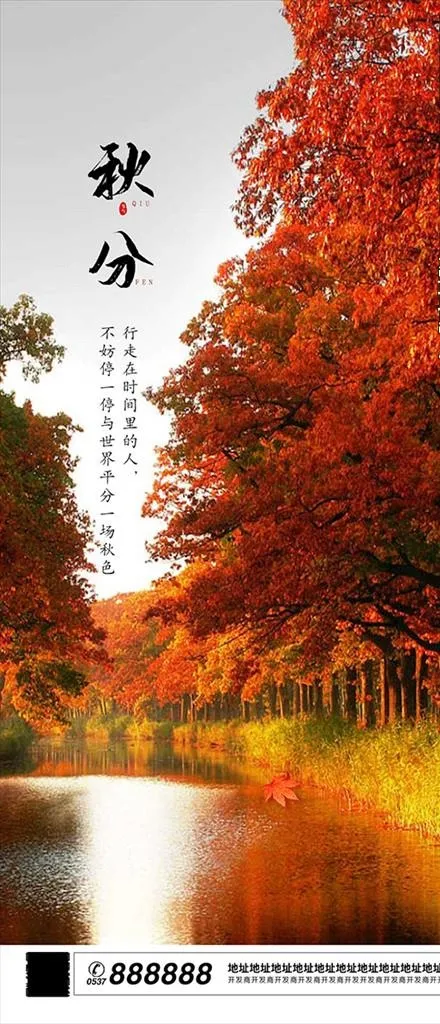 秋天 枫叶 秋分 节气海报图片