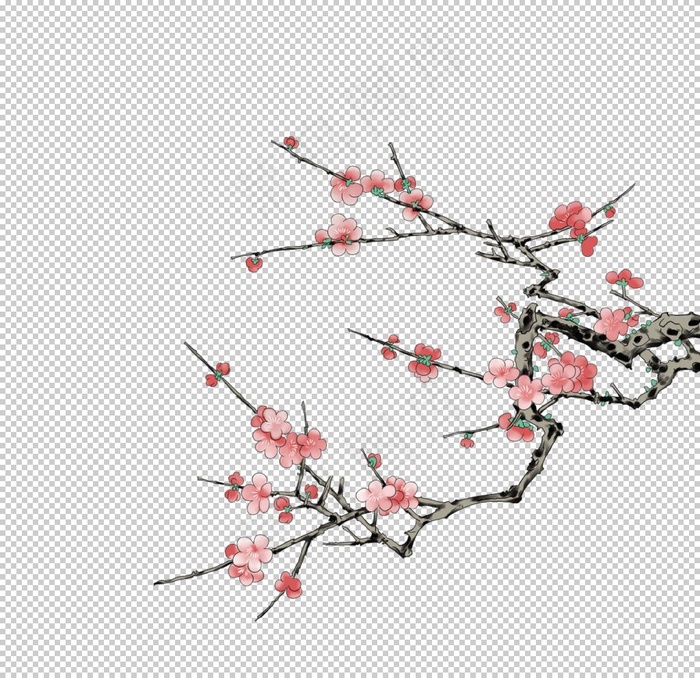 梅花素材图片