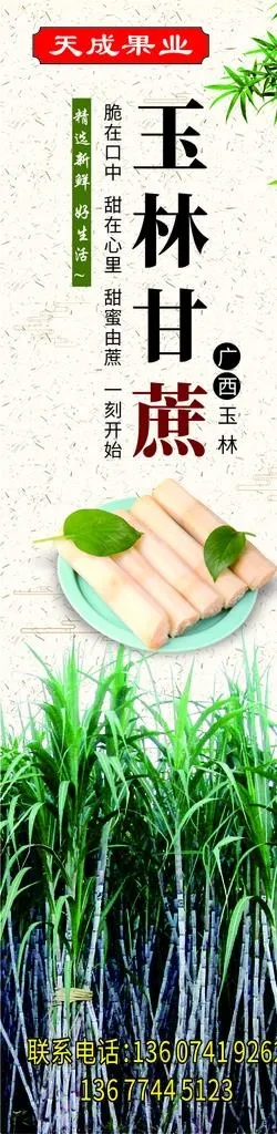 甘蔗海报图片