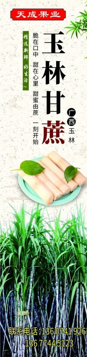 甘蔗海报图片