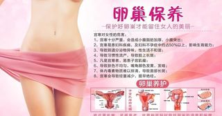 卵巢保养海报图片