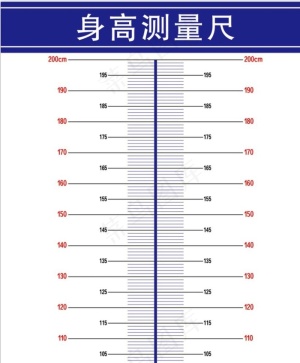 身高测量表图片