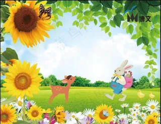 向日葵背景图图片