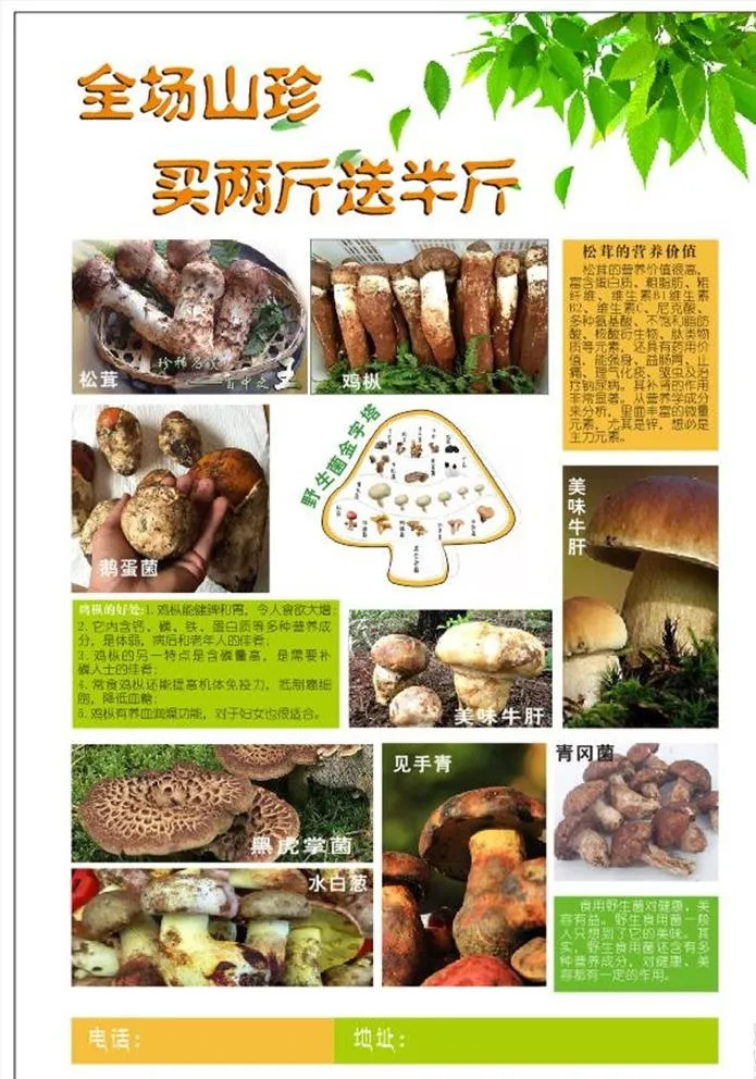 野生菌图片cdr矢量模版下载