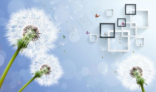 蒲公英 框框 蝴蝶 背景墙图片