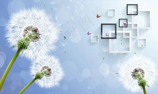 蒲公英 框框 蝴蝶 背景墙图片