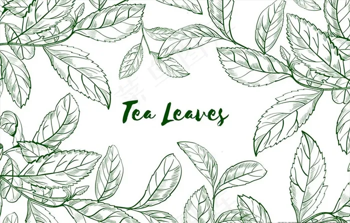手绘风格茶叶背景图片ai矢量模版下载