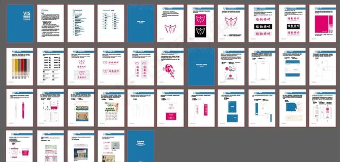 VIS识别手册图片