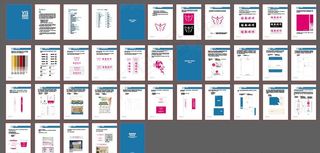 VIS识别手册图片