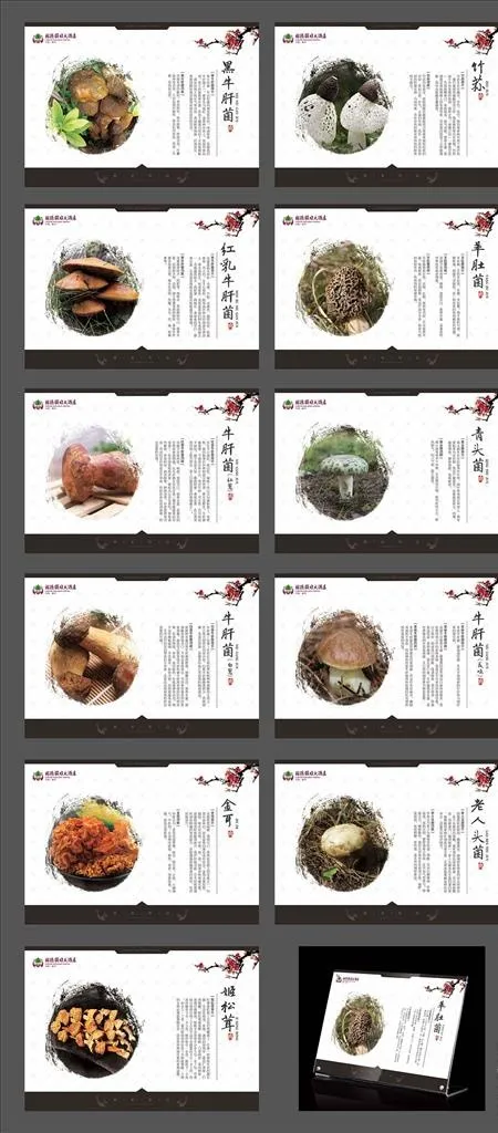 野生食物菌类介绍图片(1647X1160(DPI:200))psd模版下载