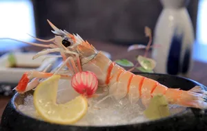 大西洋鳌虾图片
