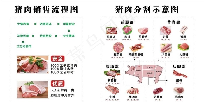 猪肉分割图图片psd模版下载