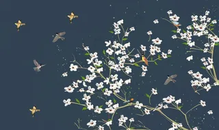 植物花鸟中国风中式传统装饰画图图片