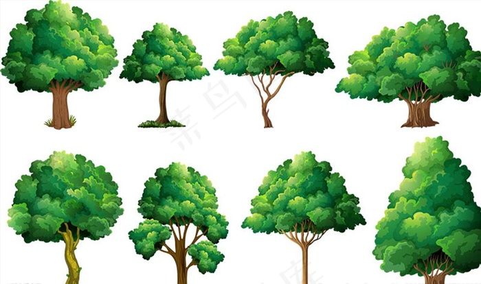 树图片