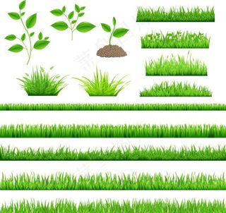 绿草地禾苗矢量图片