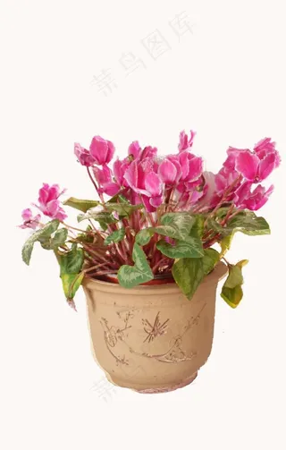 盆栽粉色花摆件古风花盆.png图片