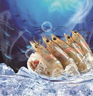 虾 海鲜图片 虾 海鲜图片