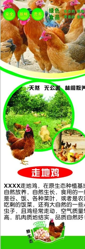 走地鸡图片cdr矢量模版下载