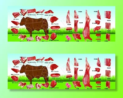 牛羊肉细节图图片 牛羊肉细节图图片