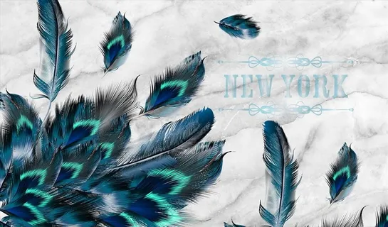 羽毛 彩色羽毛 背景墙图片