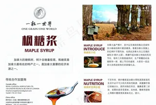枫糖浆B5宣传单图片