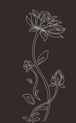 花线条图片