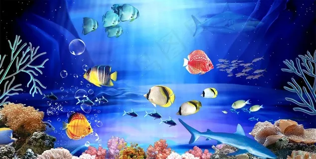 海底世界图片 海底世界图片