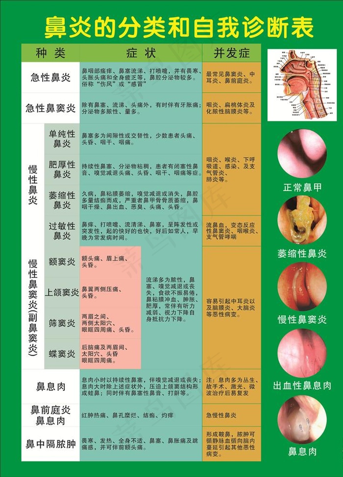 鼻炎的分类和自我诊断表图片cdr矢量模版下载