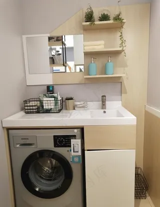 阳台柜 浴室柜 洗衣机 洗手盆图片