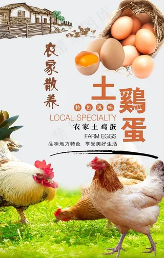 农家土鸡蛋海报图片