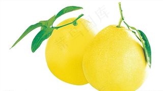 柚子图片