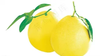 柚子图片