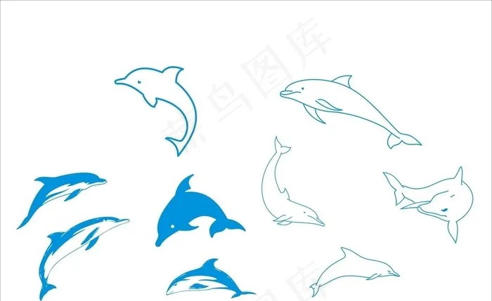 海豚图片cdr矢量模版下载